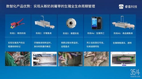 本輪豬周期拐點(diǎn)已現(xiàn),3萬億生豬市場數(shù)字化價(jià)值幾何