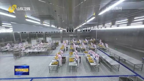 聊城烤鴨 首飛 歐洲 特色農(nóng)產(chǎn)品國際 朋友圈 不斷擴(kuò)大