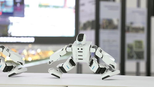 覆蓋30余個(gè)場(chǎng)館 成都科技產(chǎn)品即將走上大運(yùn)會(huì)場(chǎng)