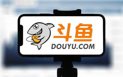 斗魚(yú)戰(zhàn)略入股九途文化，以股權(quán)綁定深化主播合作